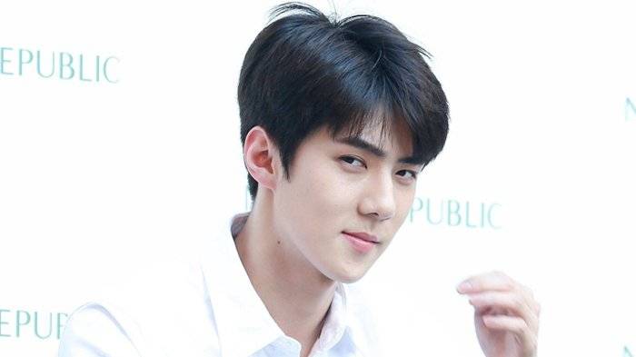 Sehun Lifestyle Wiki Net Worth Income Salary House Cars Favorites Affairs Awards Family Facts Biography Topplanetinfo Com Entertainment Technology Health Business More