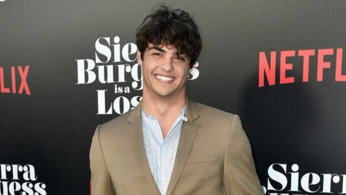 Noah Centineo Lifestyle, Wiki, Net Worth, Income, Salary, House, Cars ...