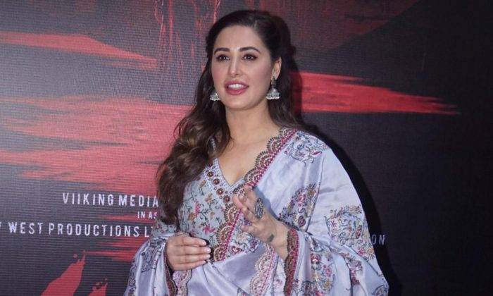Nargis Fakhri Lifestyle Wiki Net Worth Income Salary
