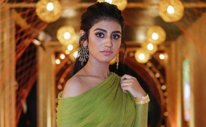 Priya Prakash Varrier Lifestyle Wiki Net Worth Income