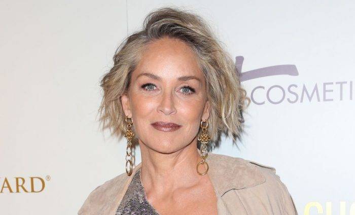 sharon stone lifestyle wiki net worth income salary house cars favorites affairs awards family facts biography topplanetinfo com entertainment technology health business more
