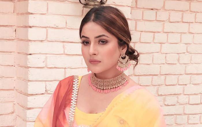 Shehnaaz Gill Lifestyle, Wiki, Net Worth, Income, Salary, House, Cars,  Favorites, Affairs, Awards, Family, Facts & Biography - Topplanetinfo.com |  Entertainment, Technology, Health, Business & More