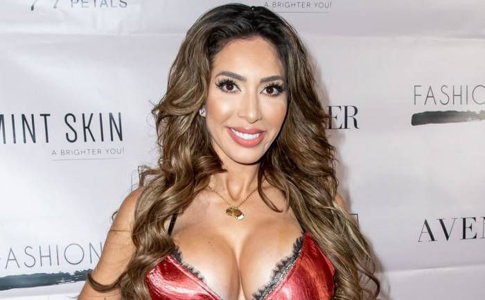 Farrah Abraham Lifestyle Wiki Net Worth Income Salary