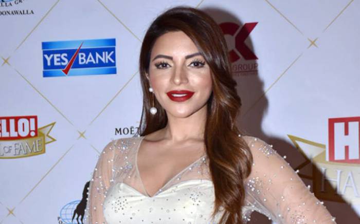 Shama Sikander Lifestyle Height Wiki Net Worth Income