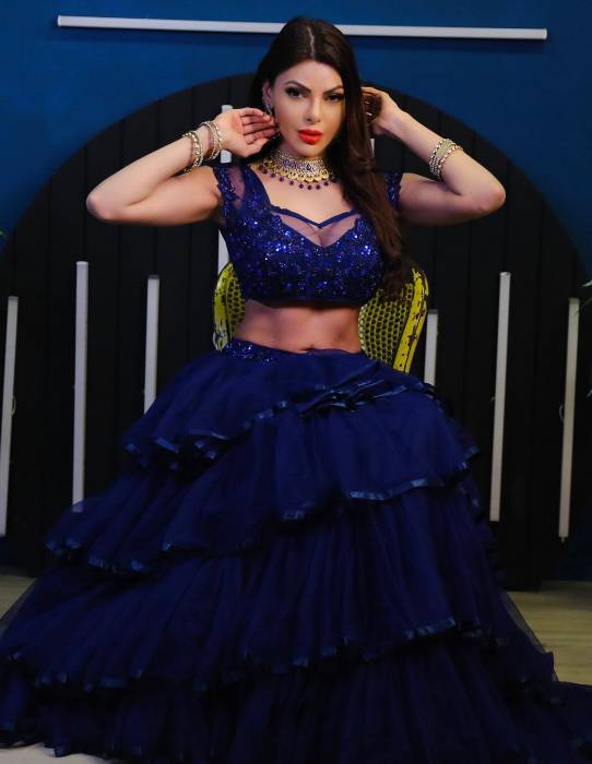 Sherlyn Chopra Looks