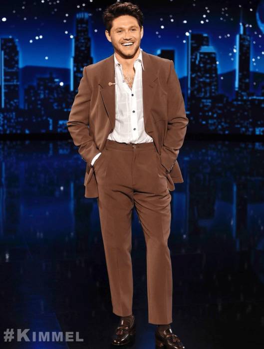 Niall Horan Looks
